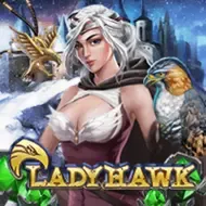 Lady HawkJOKER screenshot